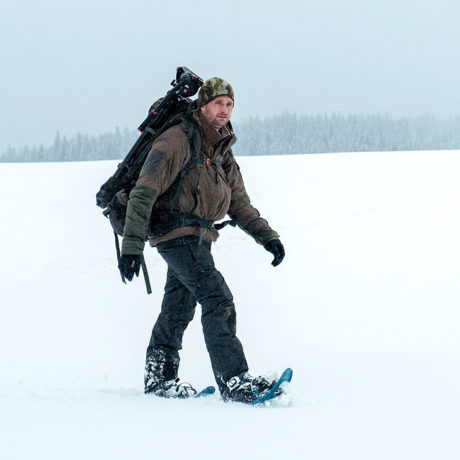 Au Marchairuz, sur les traces des loups