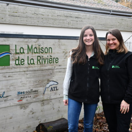 Le Film Vert revient dans un écrin agrandi