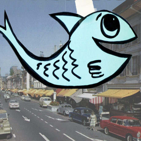 Un poisson qui a fait  des vagues… de rire!