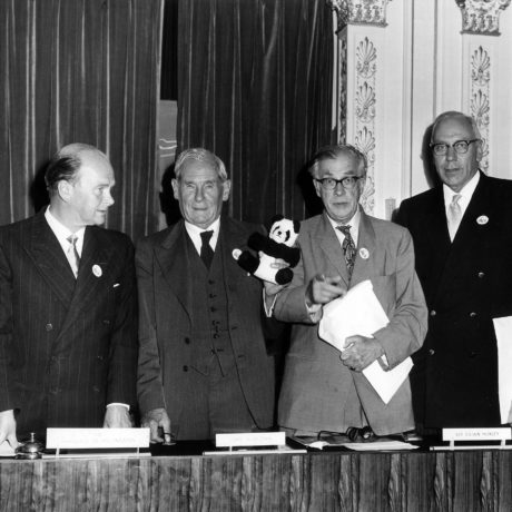 En 1961, le WWF était fondé à Morges