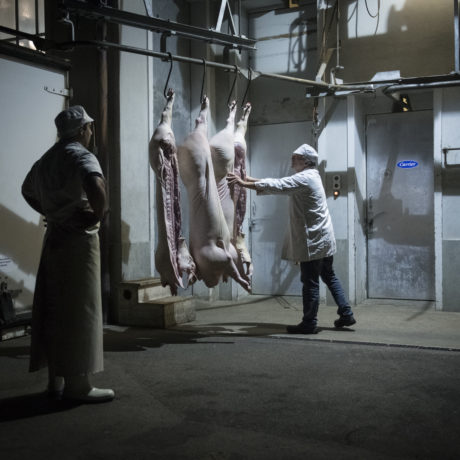 Oppositions à l’abattoir