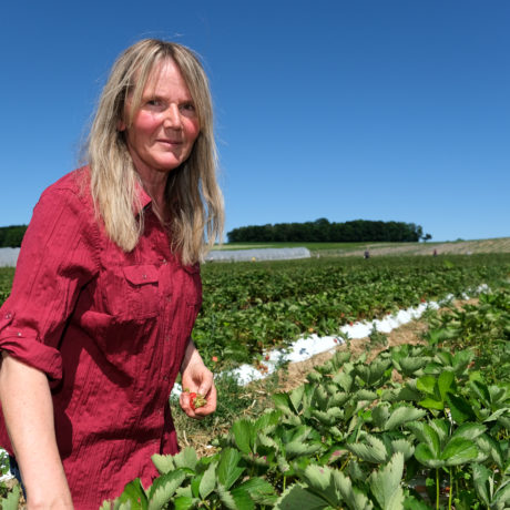 Ils cultivent, vous récoltez