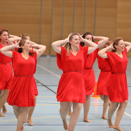Une pluie de médailles pour nos gymnastes