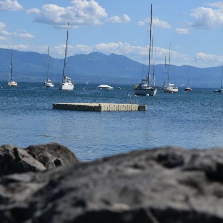 Echos du Conseil communal de Morges