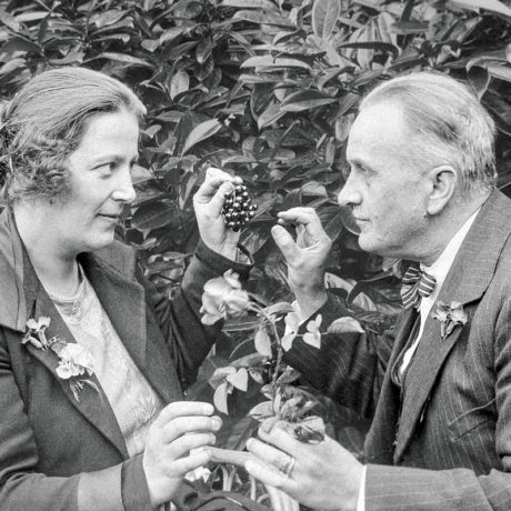 Un couple à l’honneur