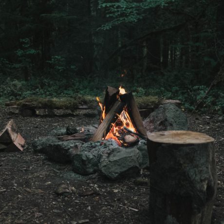 Le canton interdit les feux en forêt