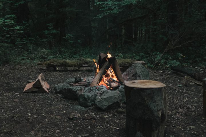 Le canton interdit les feux en forêt