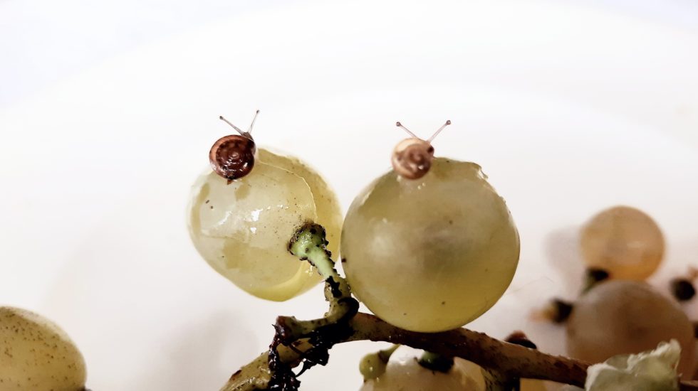 Le monde à ma porte - 30 septembre 2022