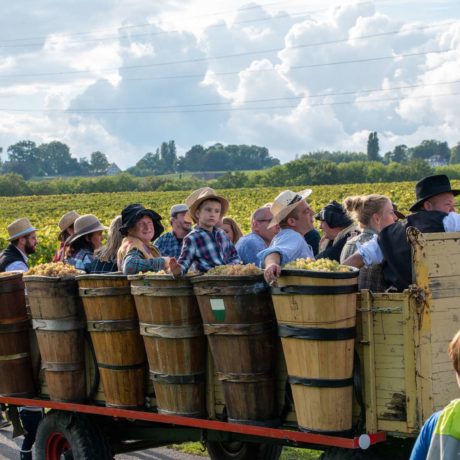 Revivez la Nuit des Épouvantails