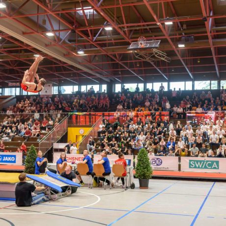 Championnats suisses aux agrès