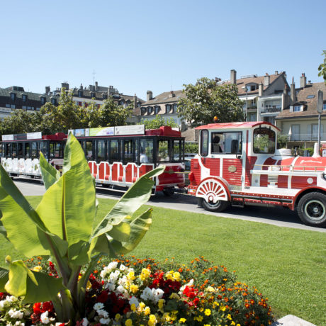 L’année de tous les records pour le Petit Train touristique