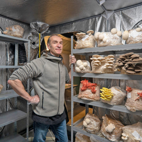 Des champignons venus de loin, mais très locaux