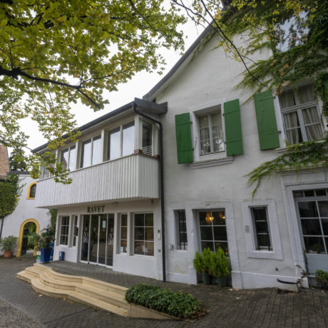 L’Ermitage des Ravet devisé à onze millions