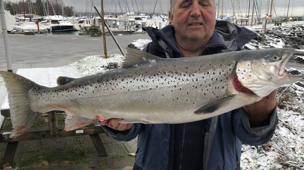 Une prise «rare» au large de Morges