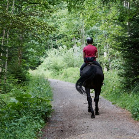 Un agriculteur tire sur deux cavalières