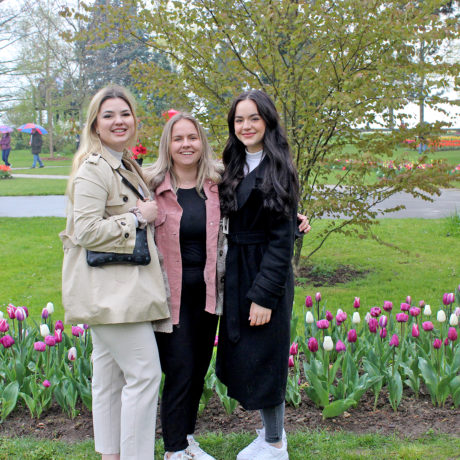 Des tulipes réputées loin à la ronde