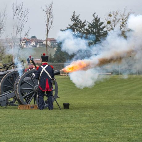 Prise d’armes des Milices Vaudoises