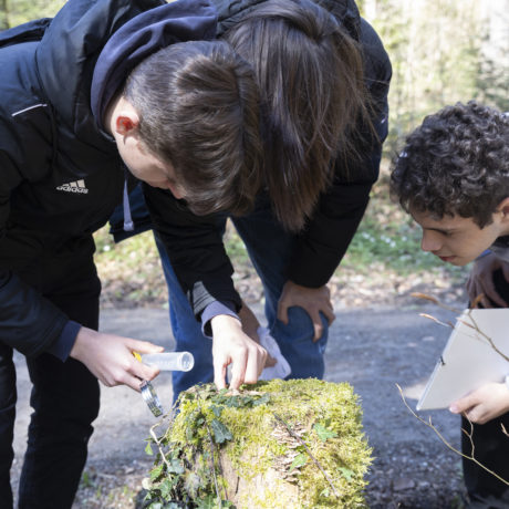 Un gymnase passe une semaine en forêt pour se connecter au vivant