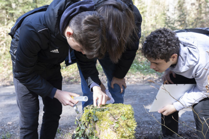 Un gymnase passe une semaine en forêt pour se connecter au vivant