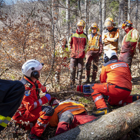 «Chantier forestier, terrain difficile»