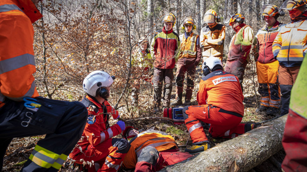 «Chantier forestier, terrain difficile»