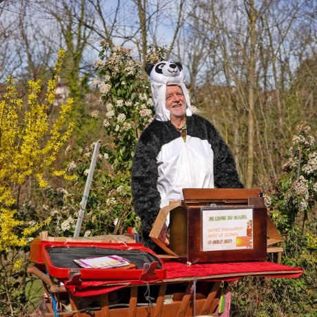Un soleil pèlerin parmi les jonquilles