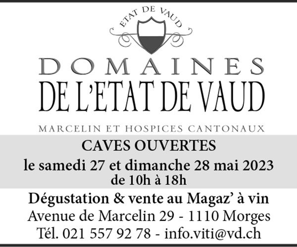 Voir le site de l'annonceur