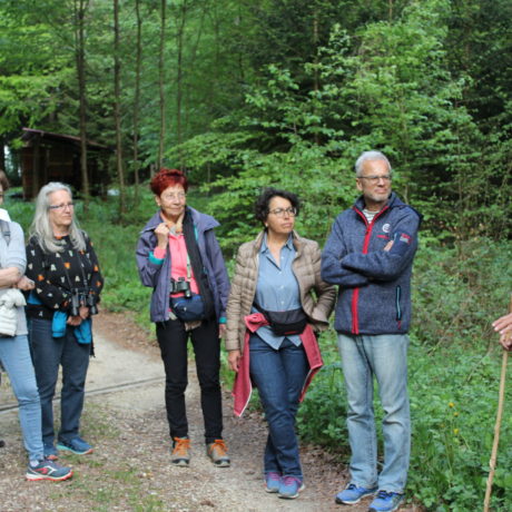 Les oiseaux en concert
