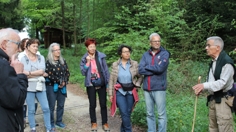 Les oiseaux en concert