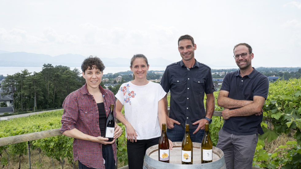 Ils s’allient pour laver leurs bouteilles