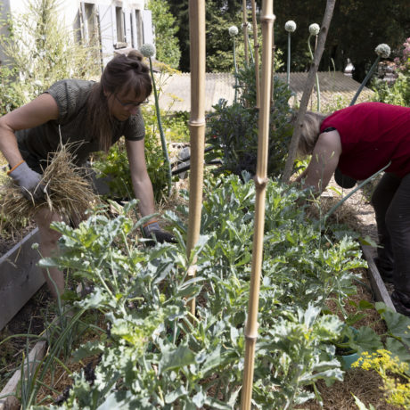Redécouvrir la terre et leur rythme dans un « écojardin » luxuriant