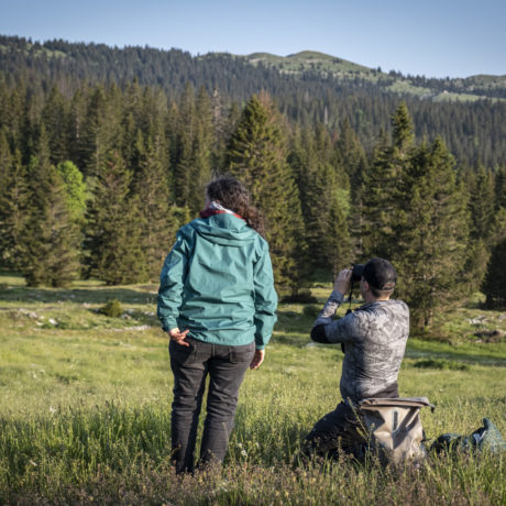 Une nuit à protéger le troupeau du loup