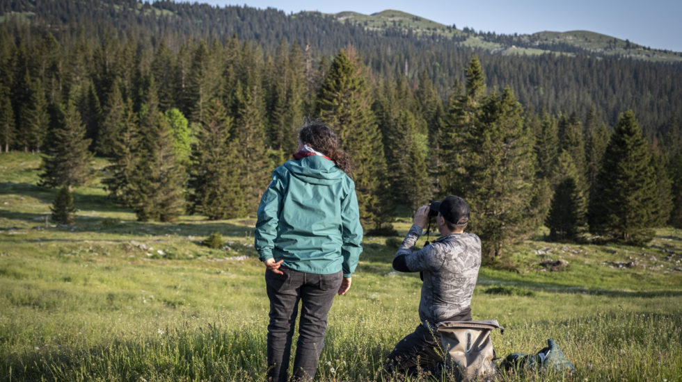 Une nuit à protéger le troupeau du loup
