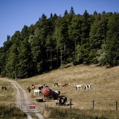 «Vaud est déjà en situation de sécheresse»