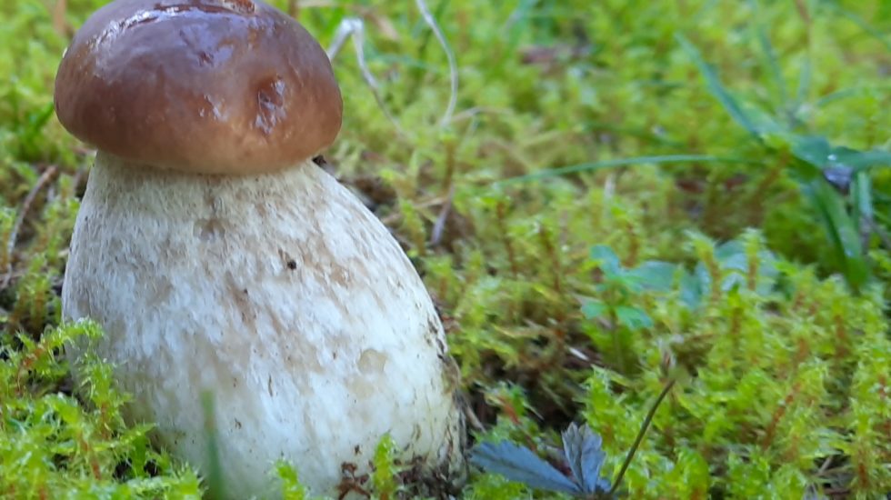 Le monde à ma porte – 14 juillet 2023