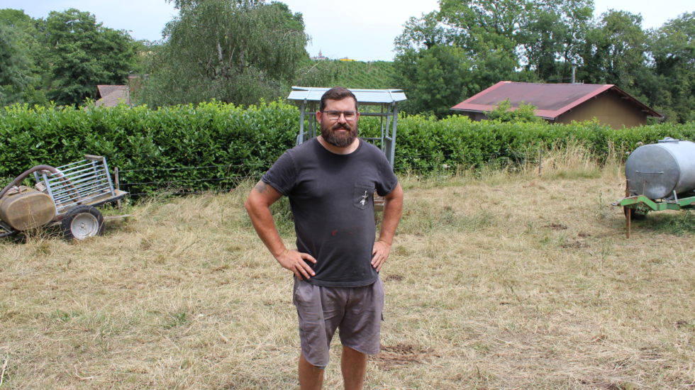 «Le loup à Yens? Je n’y croyais pas»
