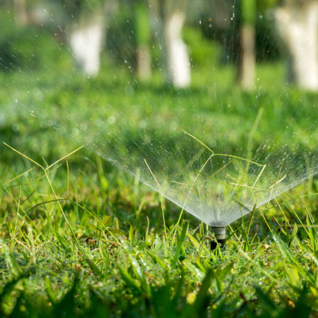 Des restrictions d’eau à Morges