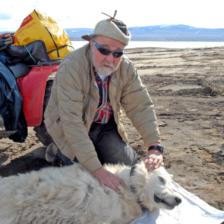 «Le loup a du mal à capturer ses proies»