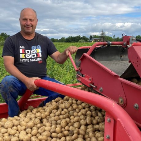 Une pénurie de patates oblige les restaurateurs à se réinventer