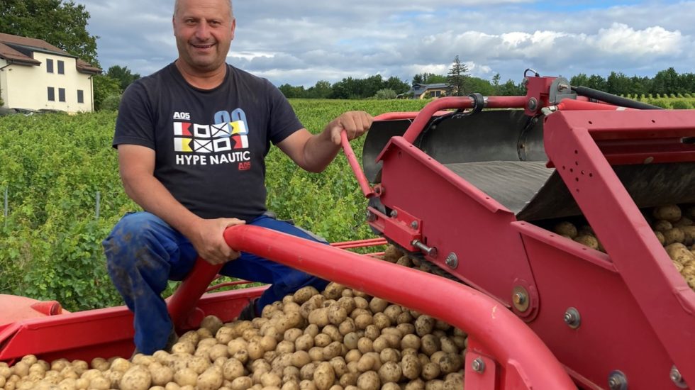 Une pénurie de patates oblige les restaurateurs à se réinventer