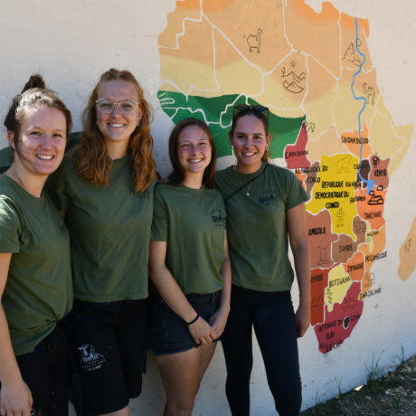 Elles donnent vie aux lions et girafes