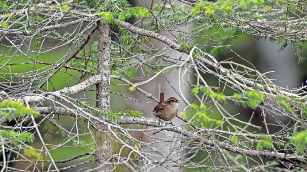 Le monde à ma porte - 11 août 2023
