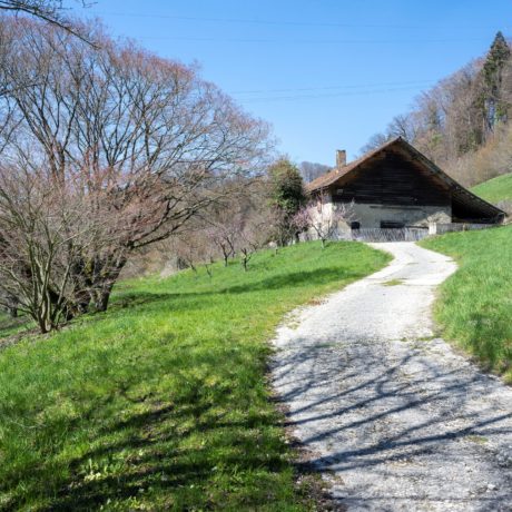 L’arboretum doit prévoir un plan B pour sa ferme