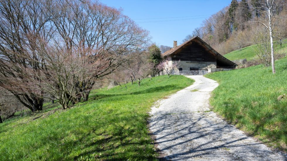 L'arboretum doit prévoir un plan B pour sa ferme