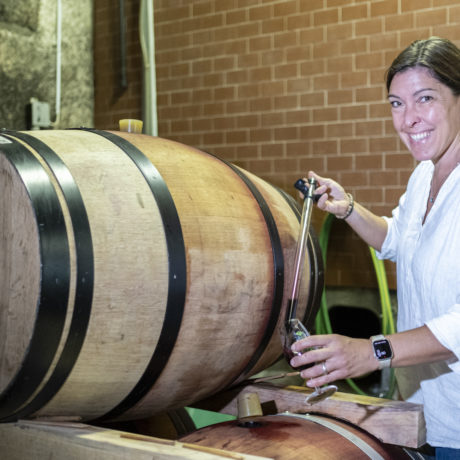 Des fonds marins à la foi en Bacchus