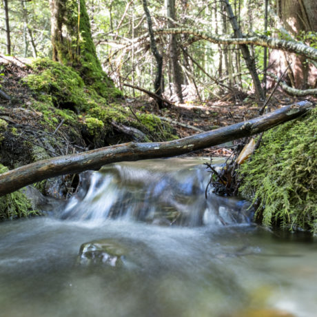 Remonter à l’origine des cours d’eau