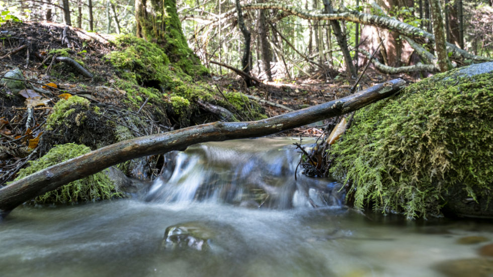 Remonter à l’origine des cours d’eau