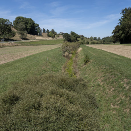 Et au milieu coule une rivière…