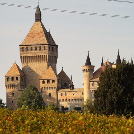 Deux points d’impôts en moins à Vufflens-le-Château