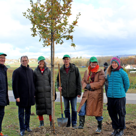 À Lonay, un arbre « pour l’avenir »